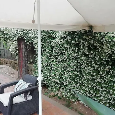 Appia Antica Guest house