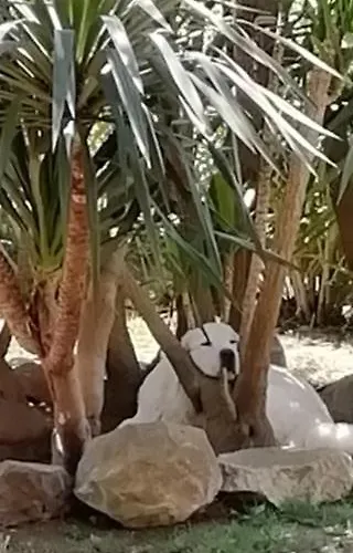 Gasthuis Appia Antica Rome