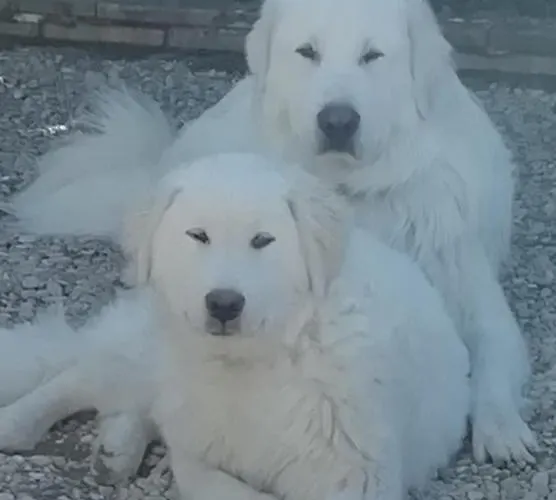 Gasthuis Appia Antica