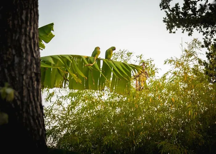 Appia Antica Gasthuis Rome