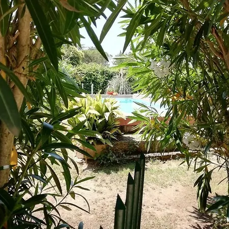 阿皮亚安提卡旅馆 招待所 罗马